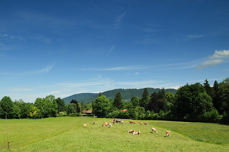 Gästehaus Schlemmhof Rottach-Egern Tegernsee